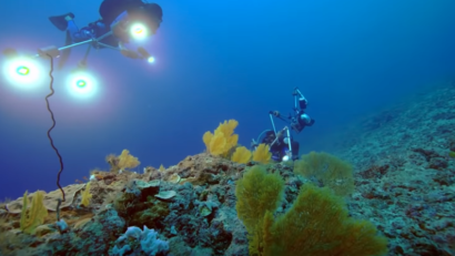 Unul dintre cele mai mari recife de corali din lume, descoperit în Tahiti