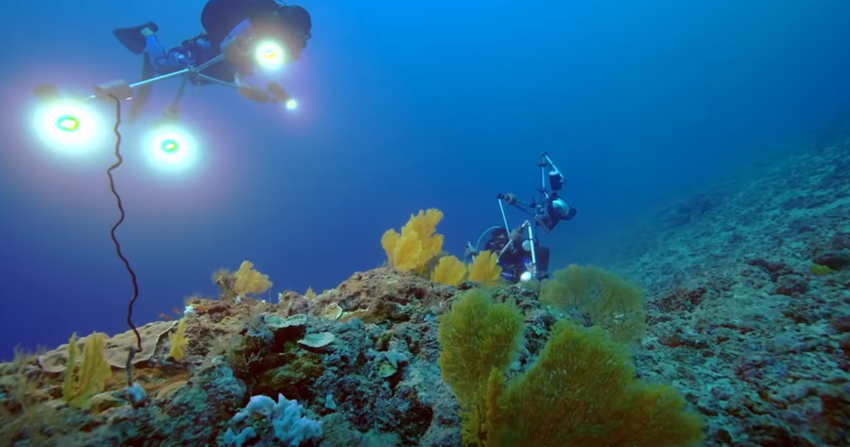 Unul dintre cele mai mari recife de corali din lume, descoperit în Tahiti