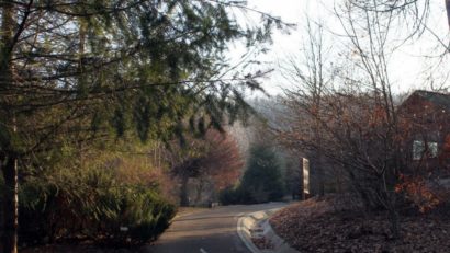 În vizită la Parcul Dendrologic Alba Iulia