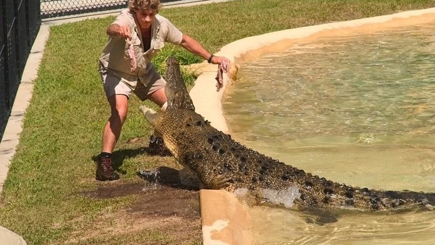 Personalitatea zilei: Steve Irwin [VIDEO]