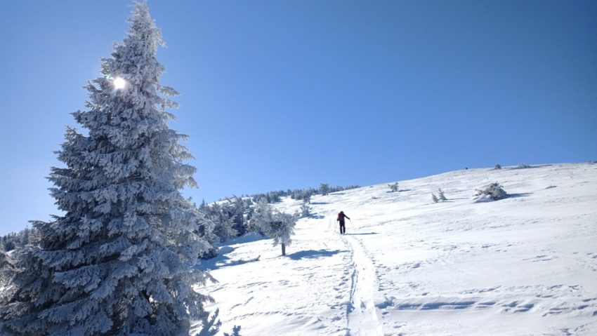 Cei mai buni sportivi sunt așteptați la Cupa Vlădeasa [FOTO]