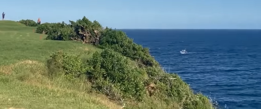 Un înotător a fost ucis la Sydney