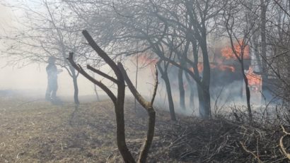 Fermierii pot pierde subvențiile de la APIA din cauza incendiilor de vegetaţie