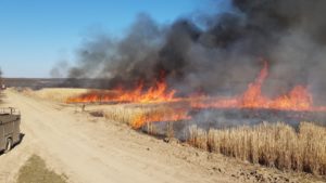 Pompierii atrag atenţia asupra pericolului incendiilor de vegetaţie