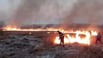 Întreaga țară a fost afectată de incendii de vegetație