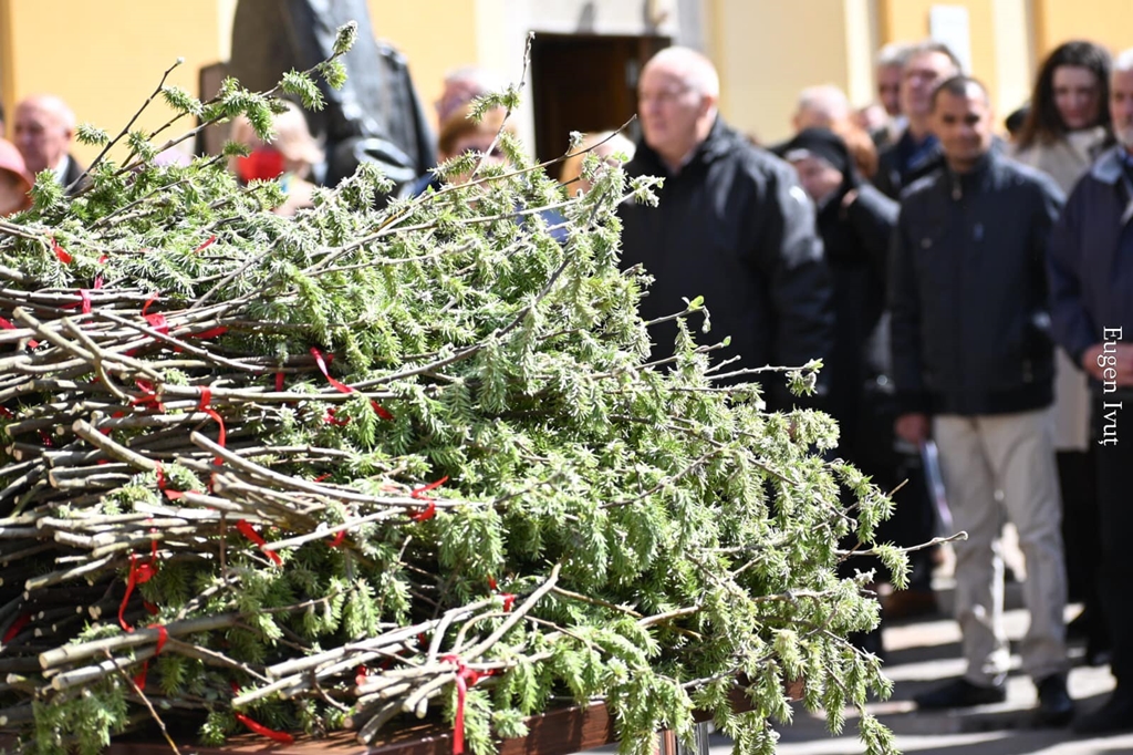 Semnificația Floriilor: Patriarhul Daniel al Bisericii Ortodoxe Române