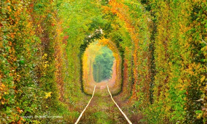 Unde se află Tunelul dragostei din România