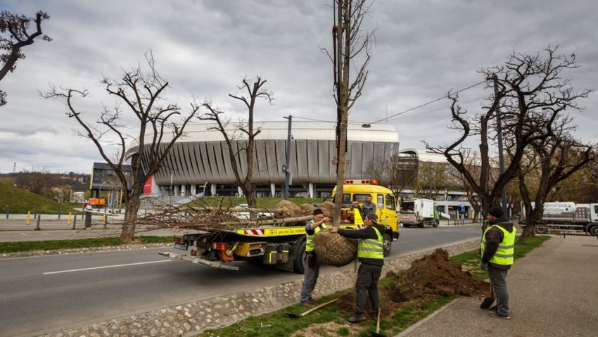 Emil Boc anunţă plantarea a 100.000 de arbori până în 2030 [FOTO]