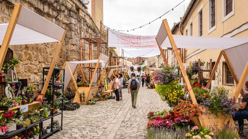 Strada Potaissa – Piața de flori altfel