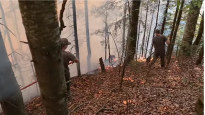 Incendiu de pădure în Munţii Rodnei