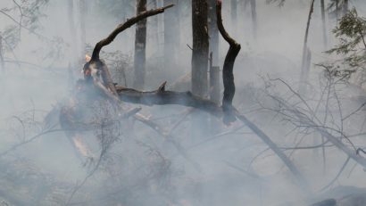 Incendii de vegetație în Franța