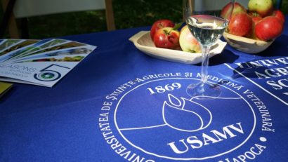 Central Park Wine Festival, pentru clujenii iubitori de vinuri