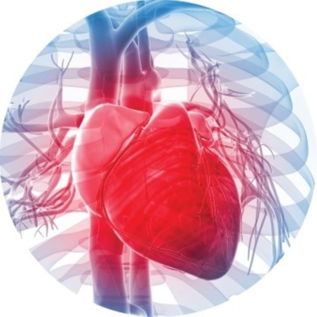 Jumătate din decesele din România au drept cauză bolile cardiovasculare