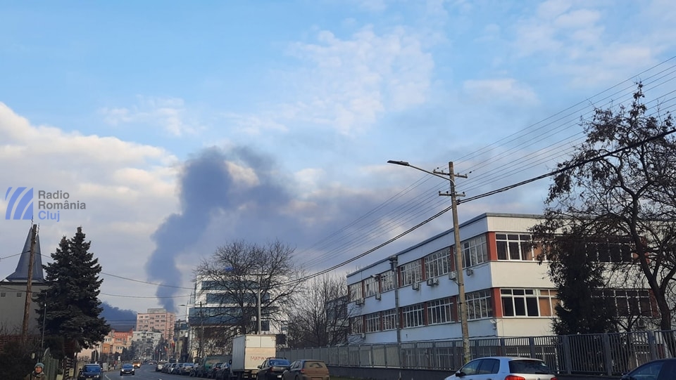 Incendiu în cartierul Grigorescu, lângă Tăietura Turcului! [FOTO]