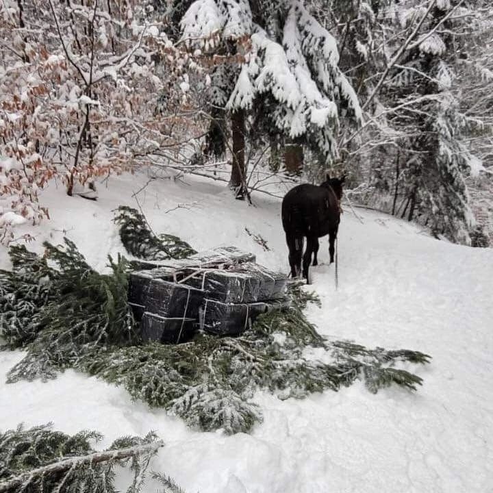 Contrabanda cu țigări în România, în creștere