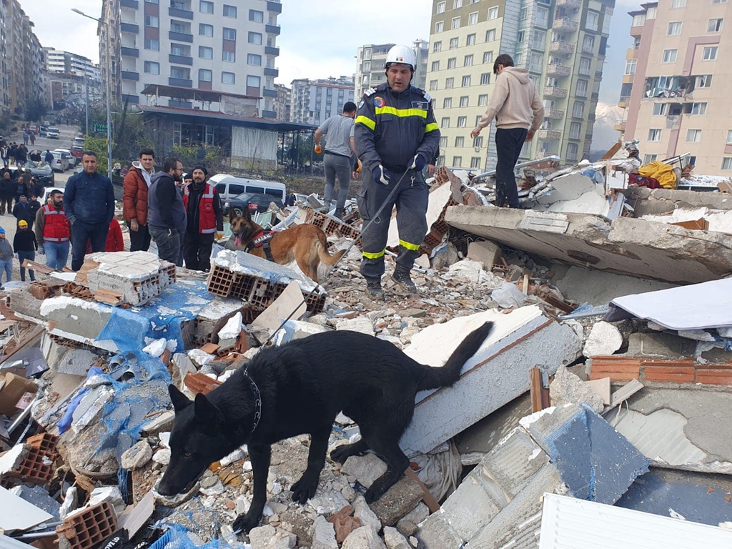 120 de salvatori români însoțiți de câini special antrenați, trimiși în Turcia [FOTO]