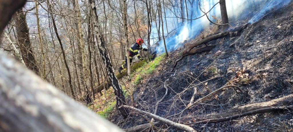 Maramureș – Mai multe hectare de vegetație uscată au fost cuprinse de flăcări