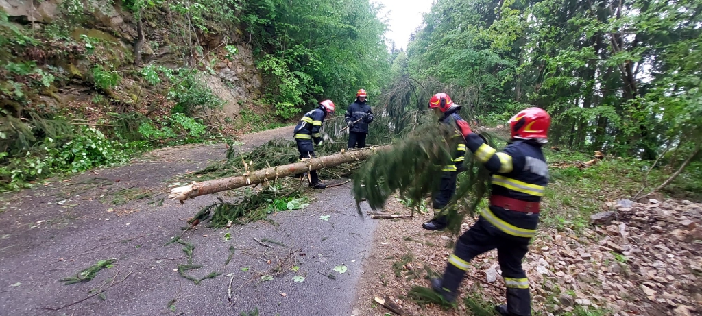 Furtuna a făcut ravagii în județul Cluj [UPDATE]