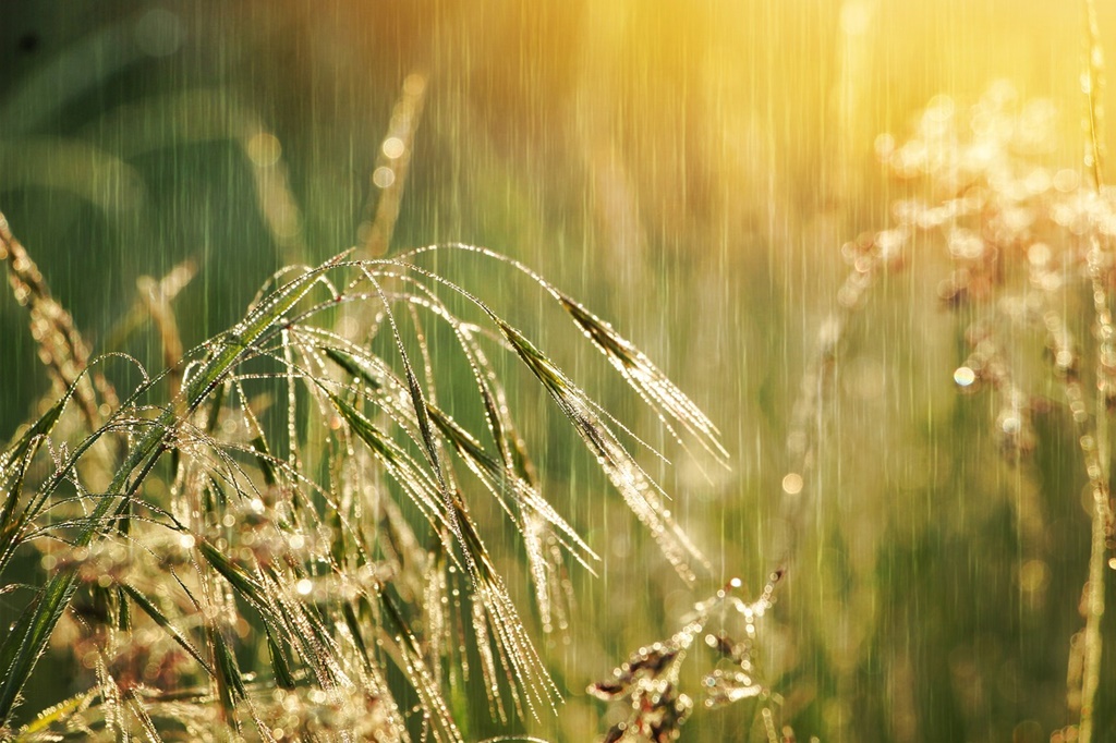 În România rezerva de apă din sol s-a refăcut după seceta severă de anul trecut