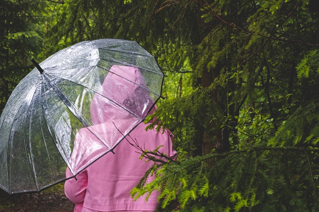 Vreme instabilă în următoarele două săptămâni