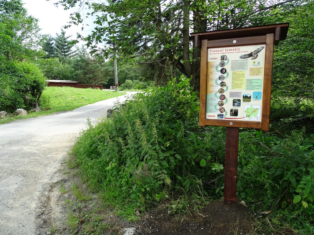 Trasee turistice pentru toate vârstele în Parcul Național Semenic-Cheile Carașului