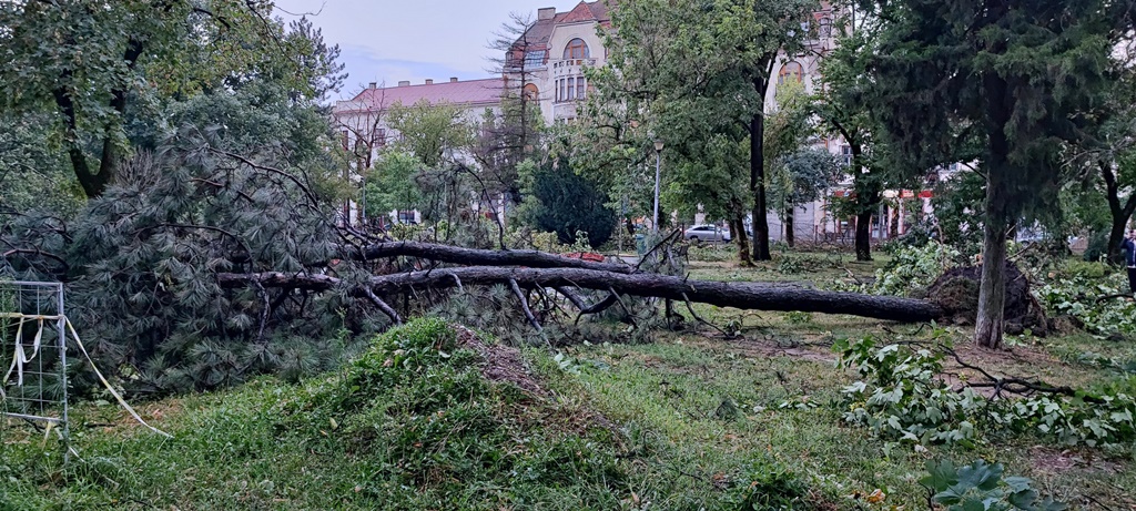 Oradea continuă curățenia, după furtuna devastatoare de marți, 25 iulie