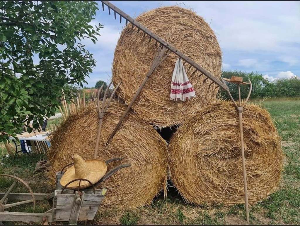 Grâu Fest la Husasău de Tinca