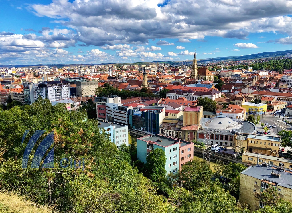 Tinerii creează un Cluj verde