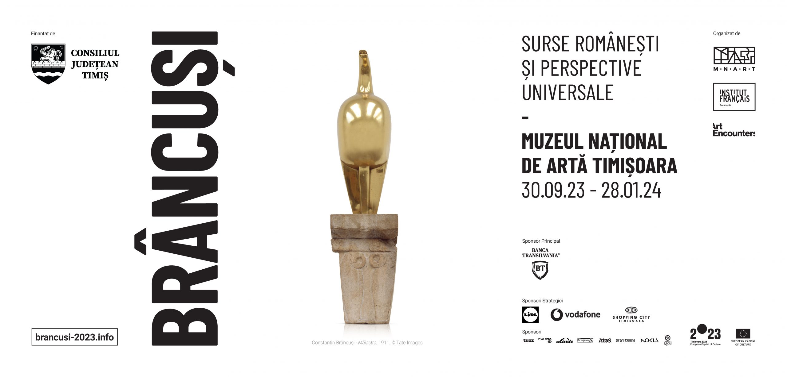 Radio România Cultural însoțește publicul expoziției „Brâncuși: surse românești și perspective universale” de la Timișoara