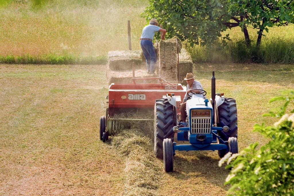 Fonduri europene nerambursabile pentru fermieri