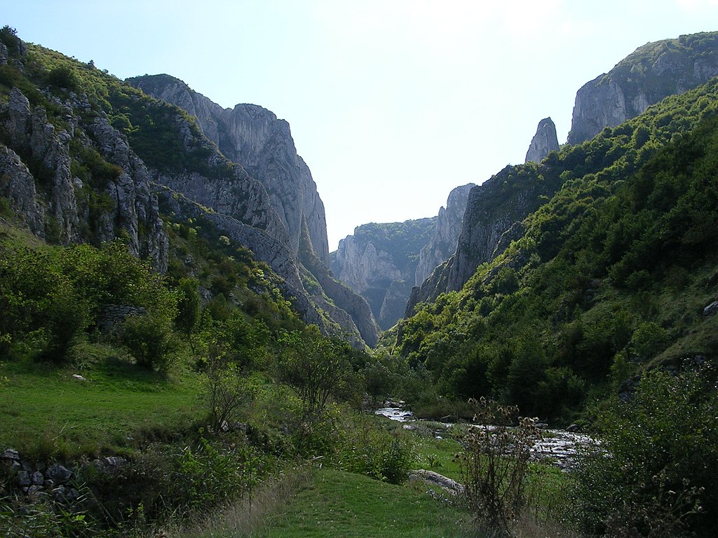 Acțiune de ecologizare în Cheile Turzii