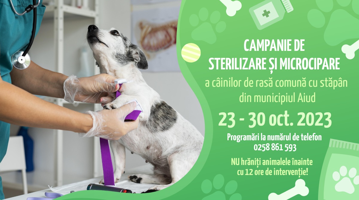 Campanie gratuită de sterilizare și microcipare a câinilor cu stăpân