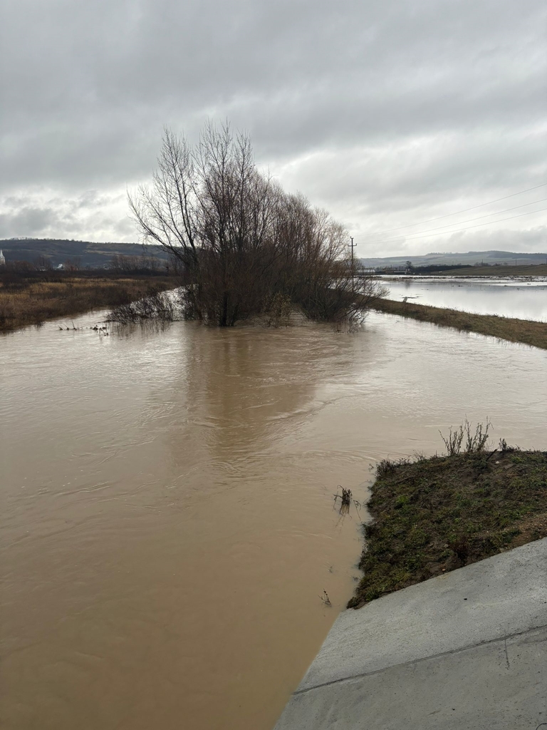 Pagube însemnate în urma ploilor abundente (UPDATE)