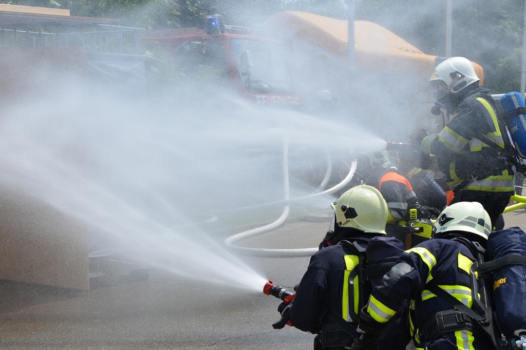 Peste 600 de porci au murit într-un incendiu la o fermă din Lita