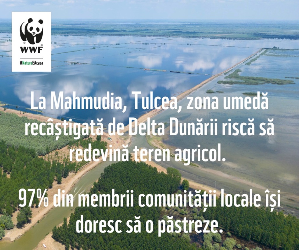 O zonă umedă din Delta Dunării riscă să fie transformată în teren agricol