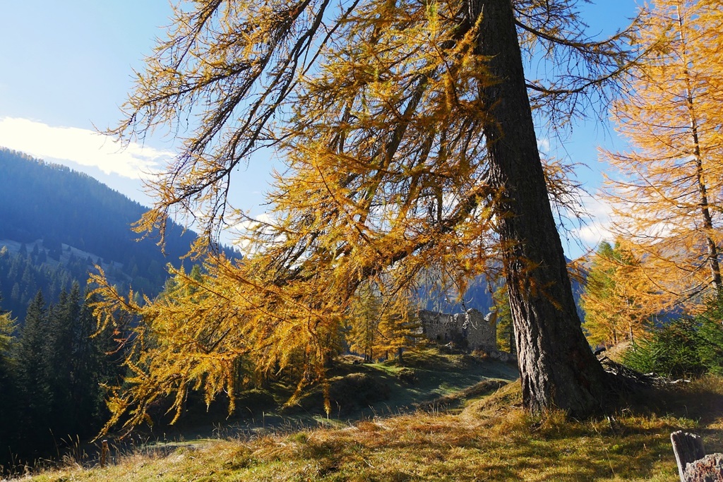 Se discută atestarea unor localități ca stațiuni turistice de interes național