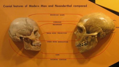 Unde a plecat Homo sapiens, după ce a părăsit Africa?