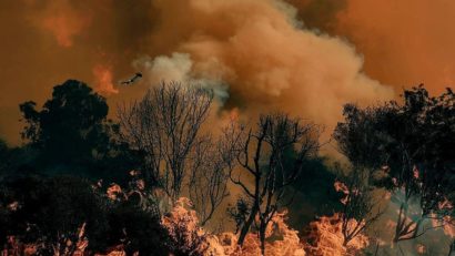 Aproape 60 de hectare de teren au fost afectate de un incendiu