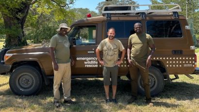 Cercetători români ajută la vindecarea crocodililor din Zimbabwe