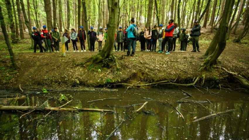 Proiectul „Pădurea-Parc Făget: Plămânul verde al Clujului”, premiat