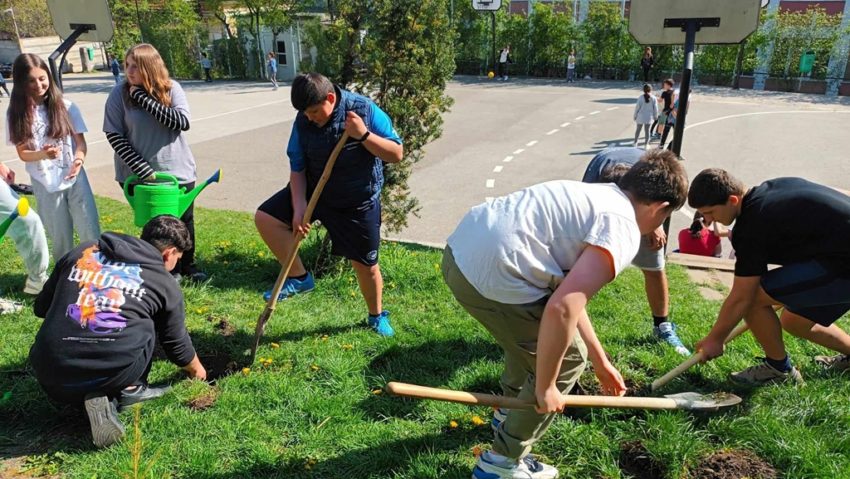 Permacultură în grădina şcolii