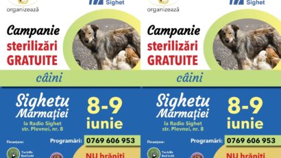 Campanie gratuită de sterilizare a câinilor cu și fără stăpân