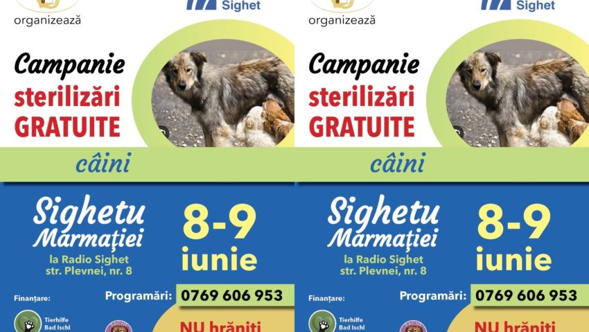 Campanie gratuită de sterilizare a câinilor cu și fără stăpân