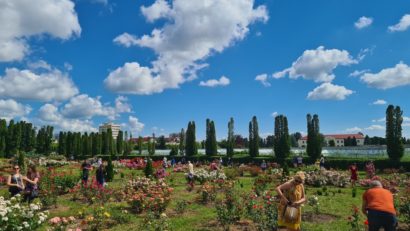 Parfum de trandafiri la USAMV Cluj | FOTO