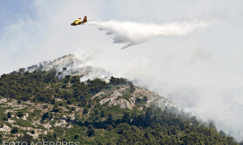 Grecia: 54 de incendii de vegetaţie într-un interval de 24 de ore