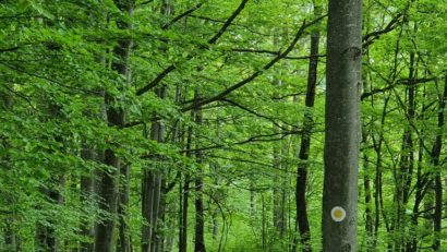 Trasee montane cicloturistice, curățate