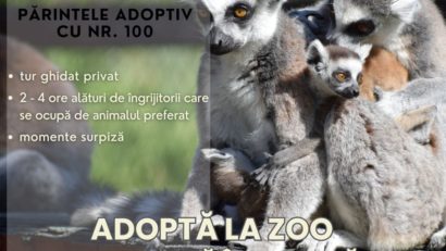 „Părintele adoptiv cu numărul 100“, la Grădina Zoologică Brașov