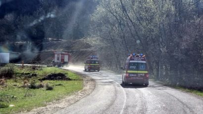 Pădurea din Certeze a luat foc