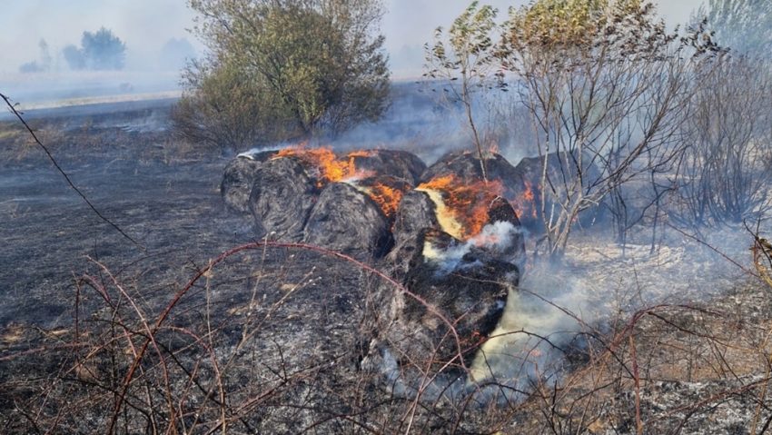 Weekend de foc în Bihor. Zeci de hectare, în flăcări