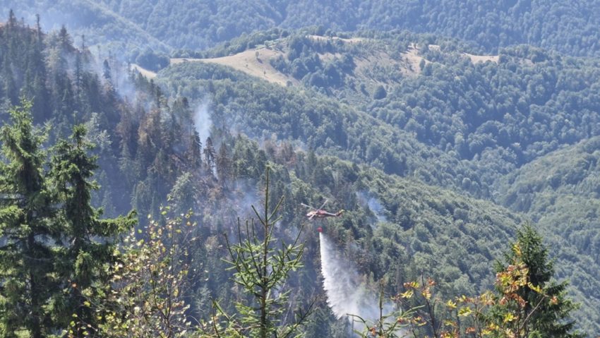 Incendiul din zona montană Budureasa-Stâna de Vale a fost lichidat | FOTO